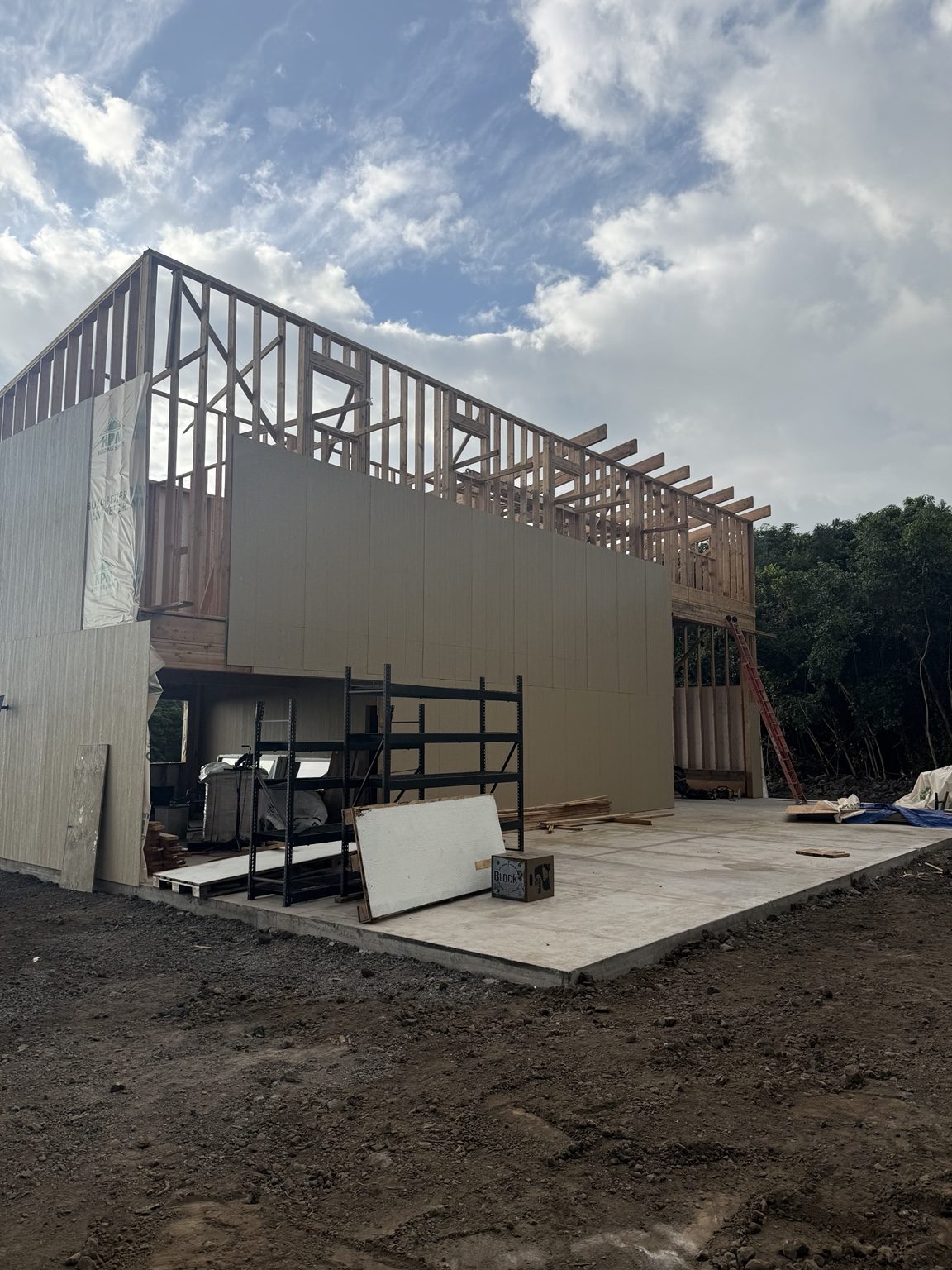 Kona handyman project — interior finishing